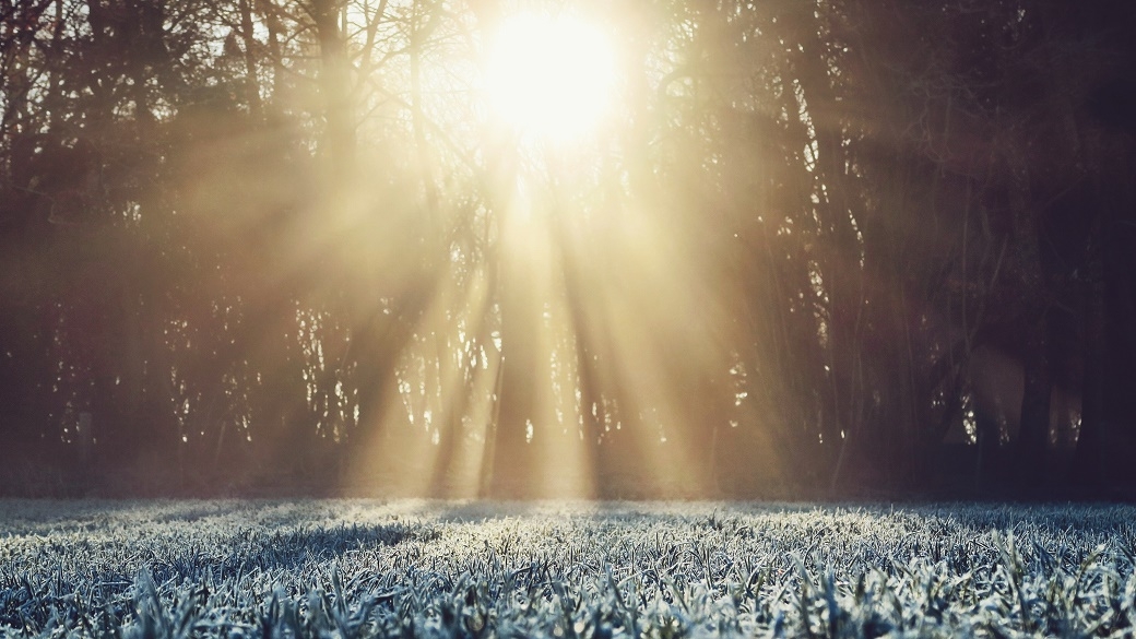 sunshine on a frozen meadow in the forest